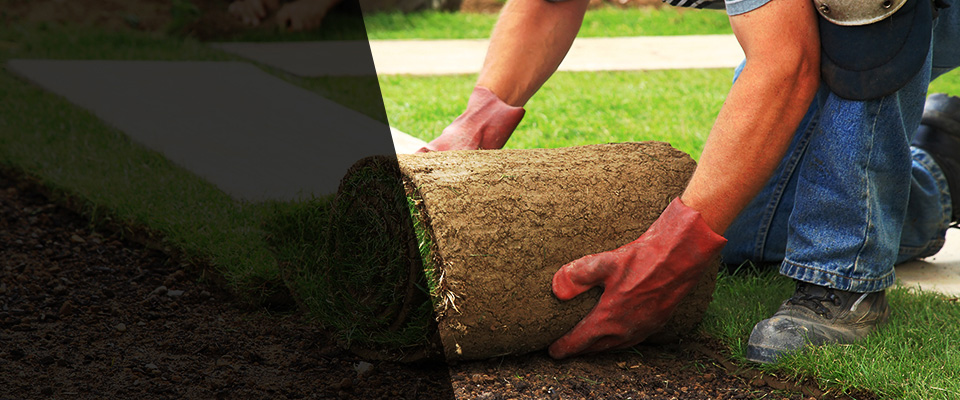 Whitehall Landscapers